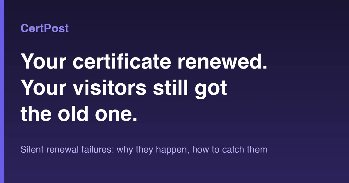 Cover Image for The certbot timer is not running.